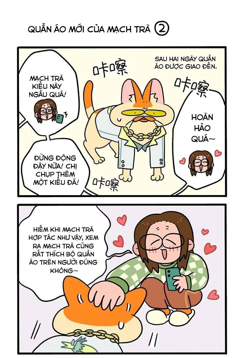 A Mãn Và Mạch Trà Chapter 51 - 3