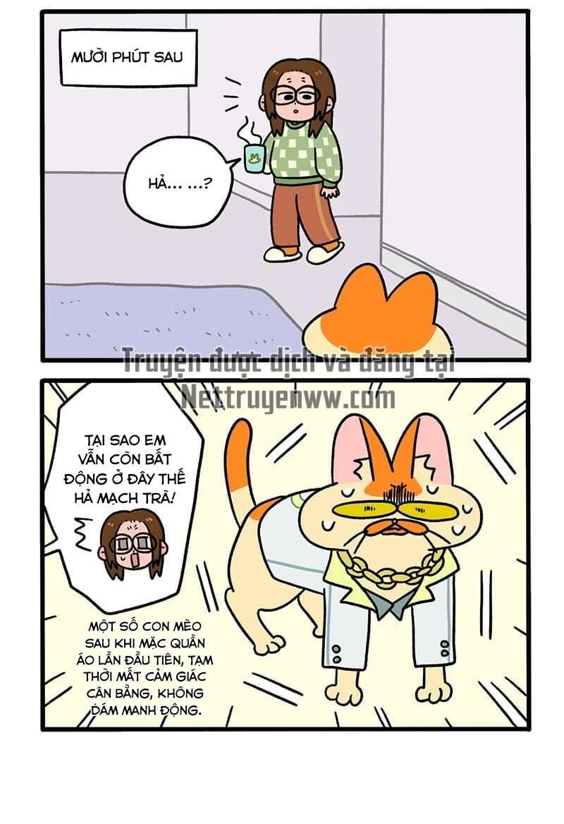 A Mãn Và Mạch Trà Chapter 51 - 4