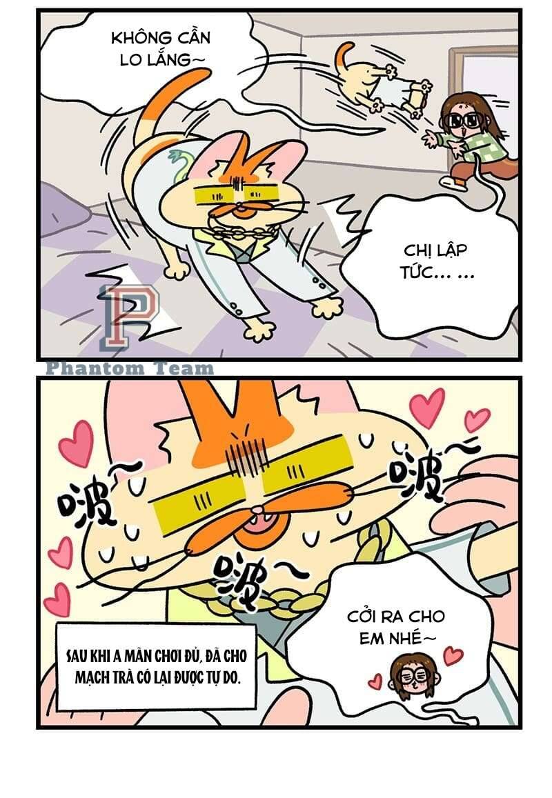 A Mãn Và Mạch Trà Chapter 51 - 6