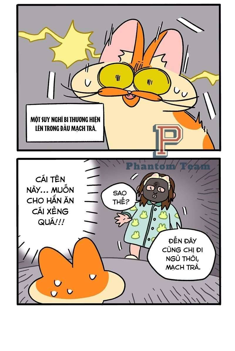 A Mãn Và Mạch Trà Chapter 52 - 4