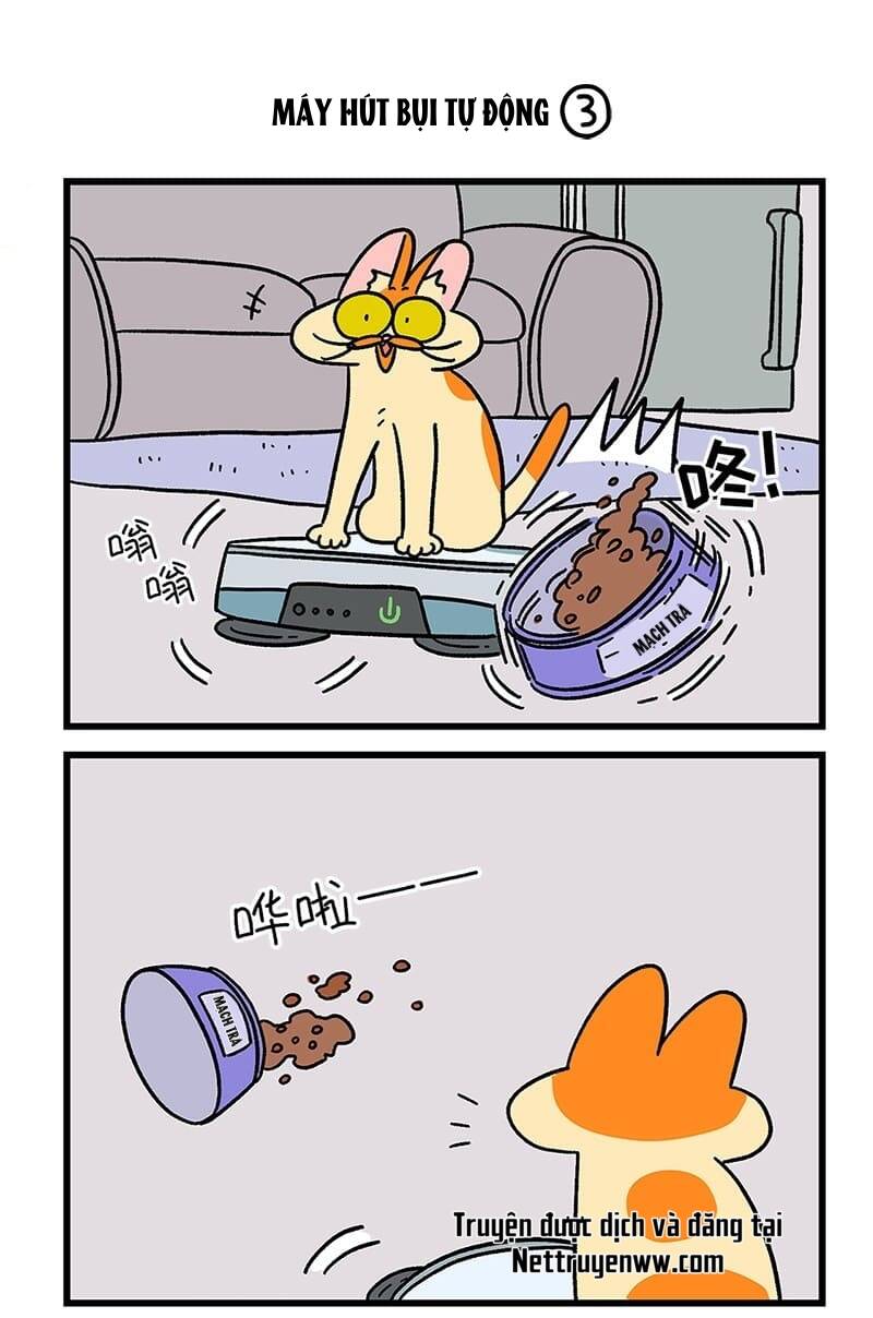 A Mãn Và Mạch Trà Chapter 53 - 5