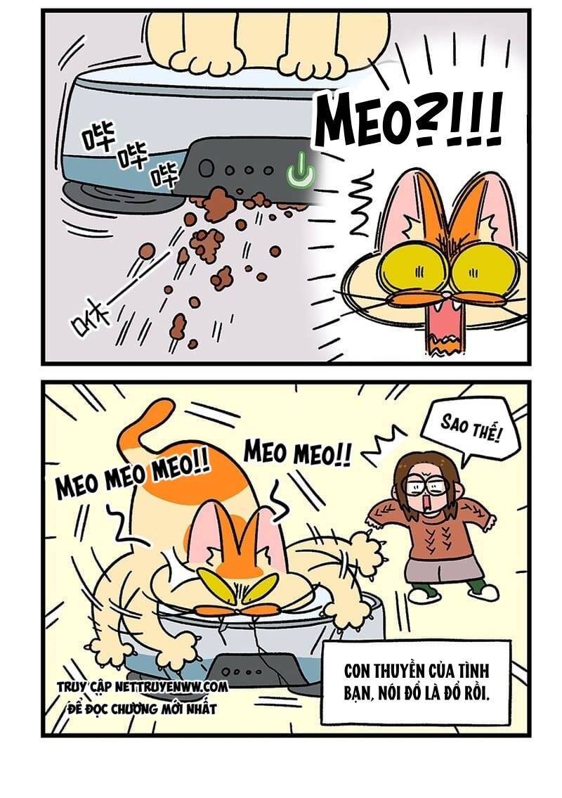 A Mãn Và Mạch Trà Chapter 53 - 6