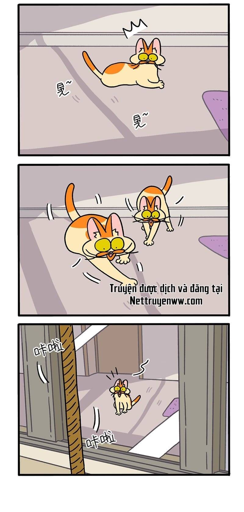 A Mãn Và Mạch Trà Chapter 54 - 2