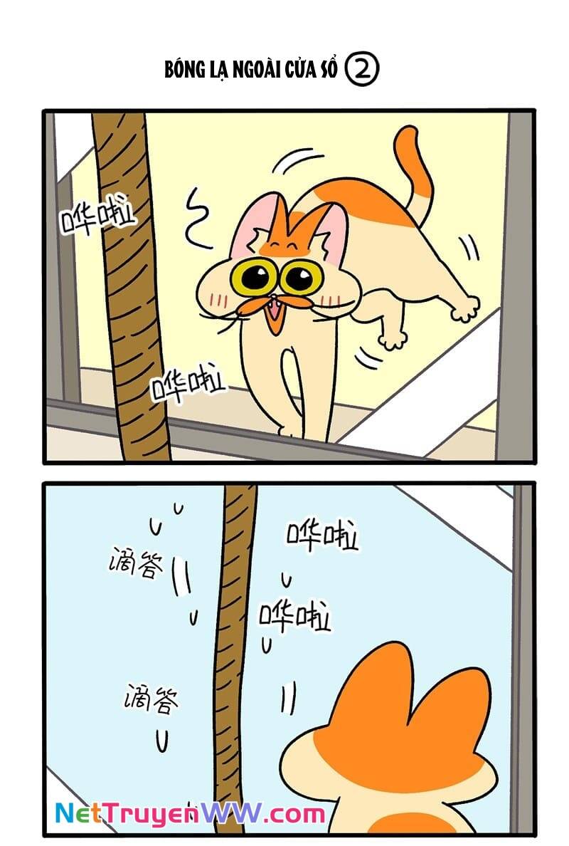 A Mãn Và Mạch Trà Chapter 54 - 3