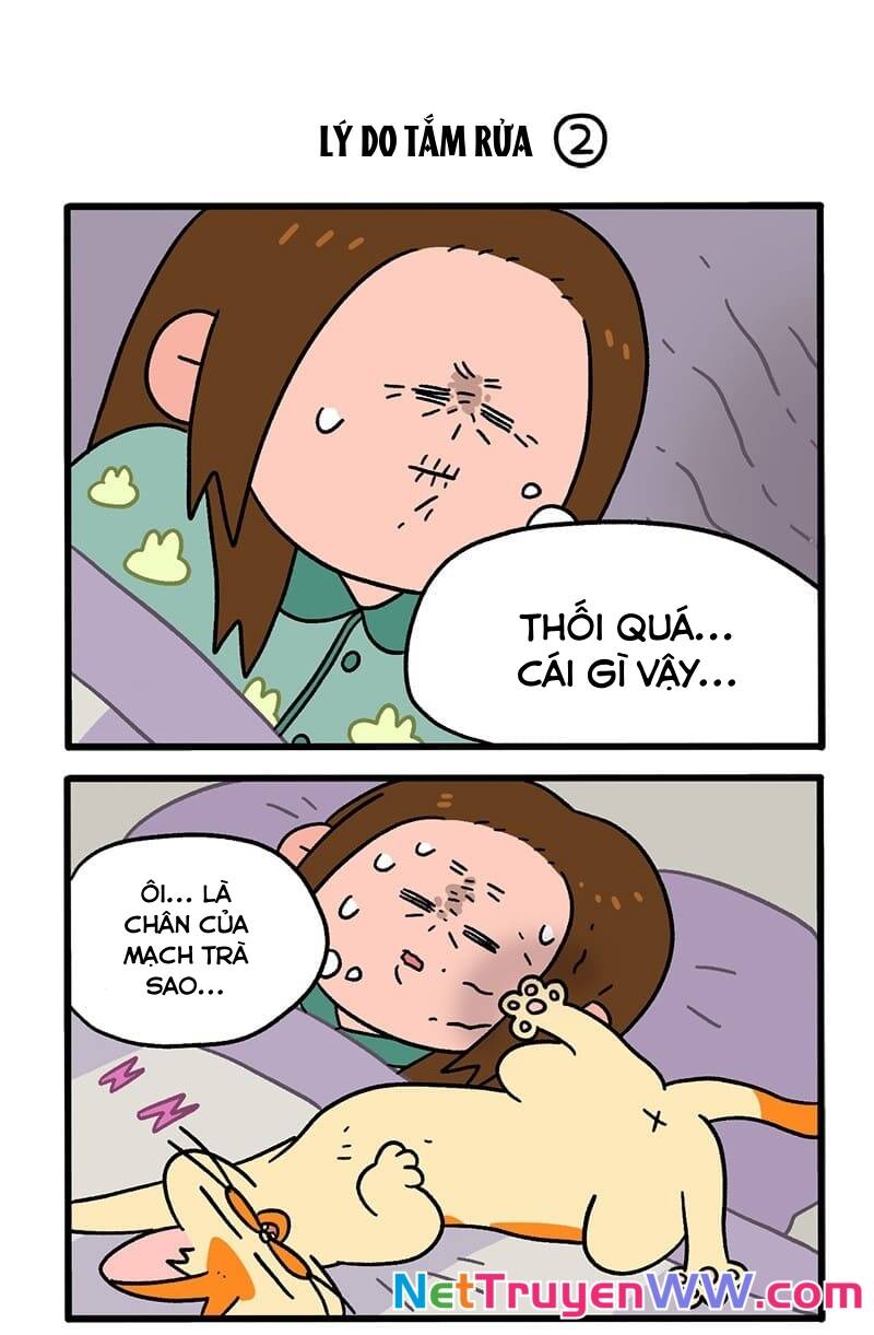 A Mãn Và Mạch Trà Chapter 55 - 3