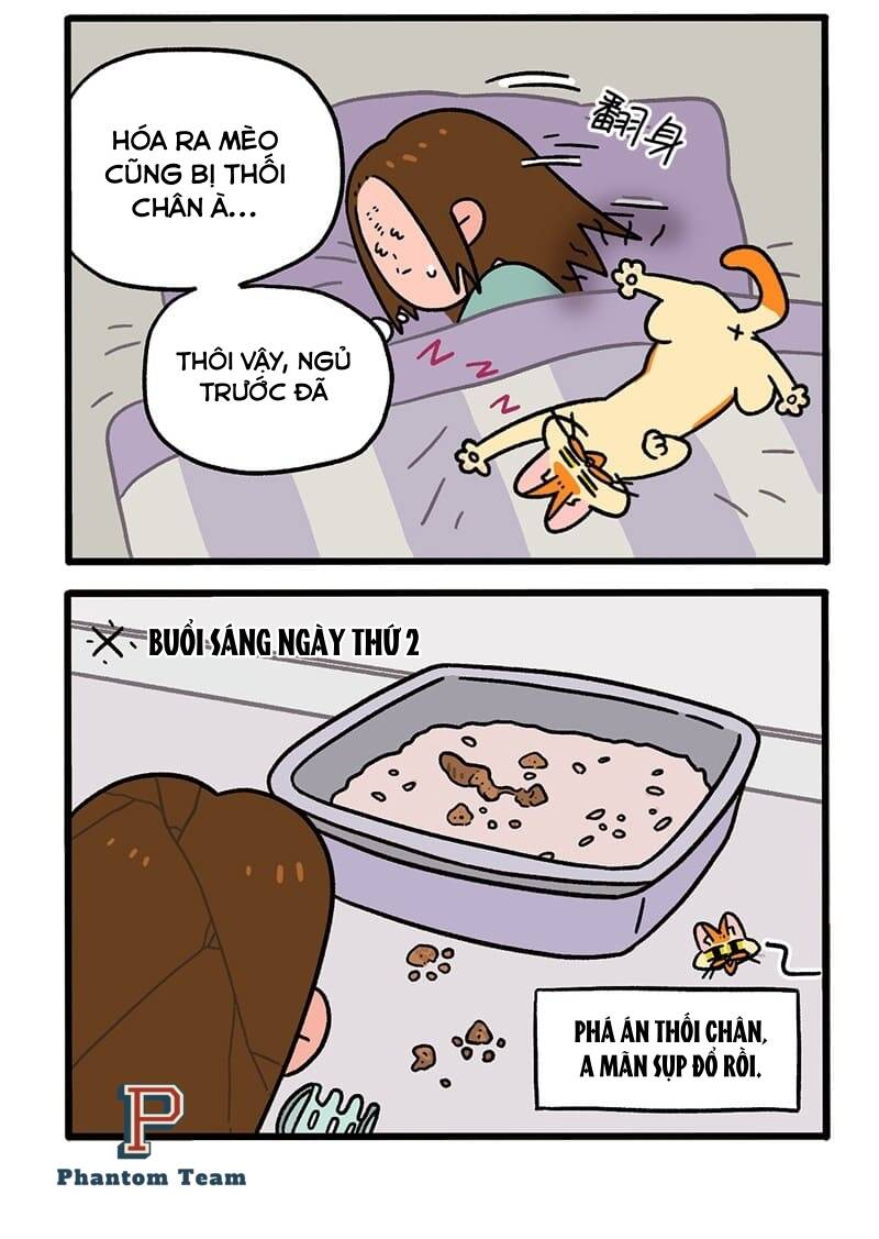 A Mãn Và Mạch Trà Chapter 55 - 4