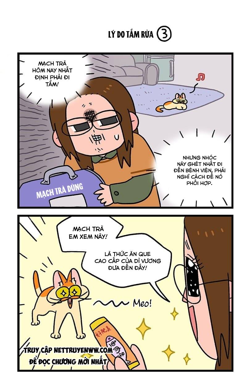 A Mãn Và Mạch Trà Chapter 55 - 5