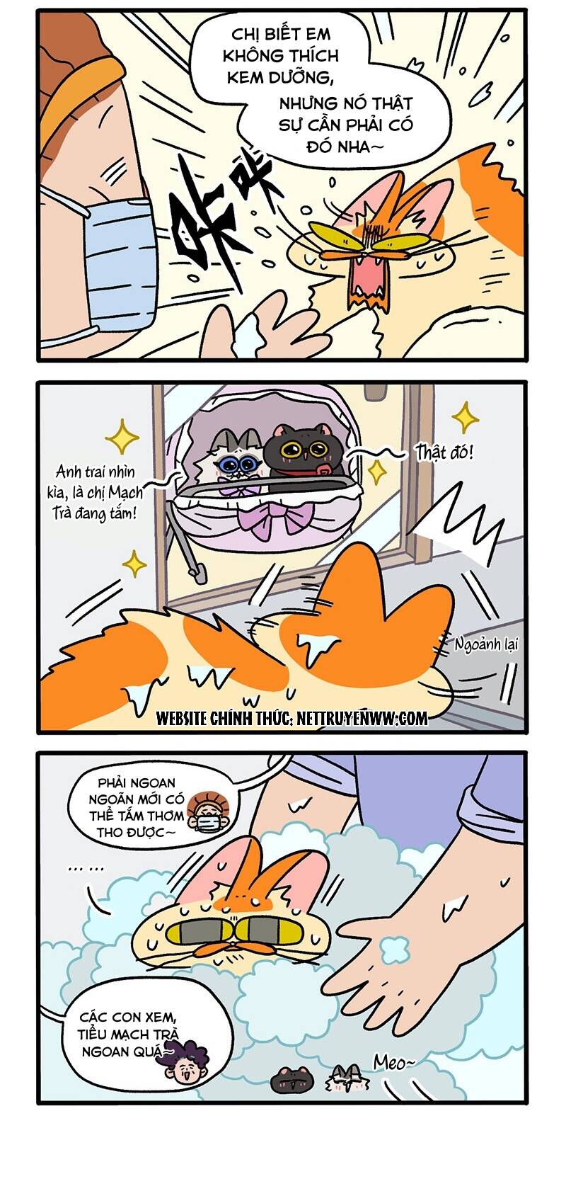 A Mãn Và Mạch Trà Chapter 56.1 - 2