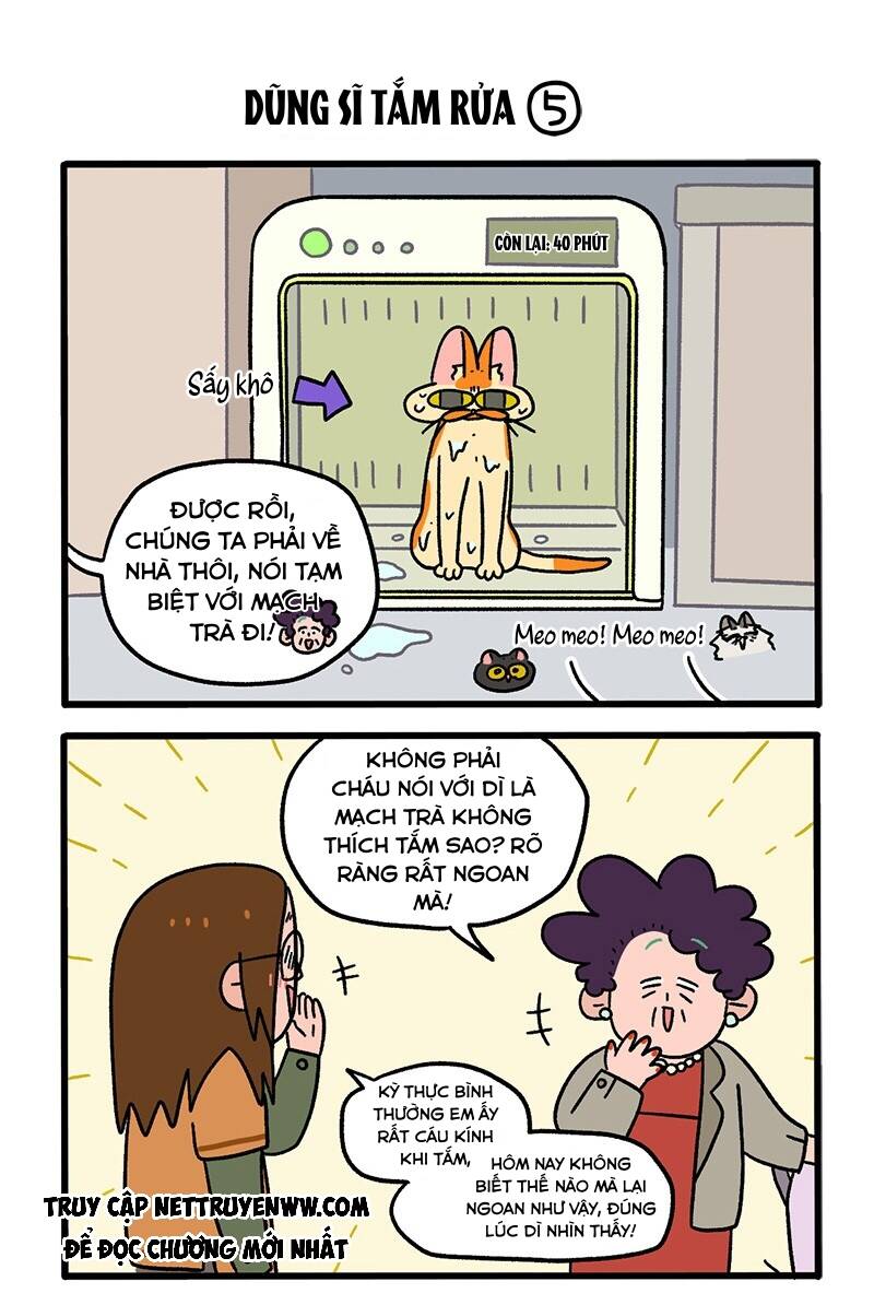 A Mãn Và Mạch Trà Chapter 56.1 - 3