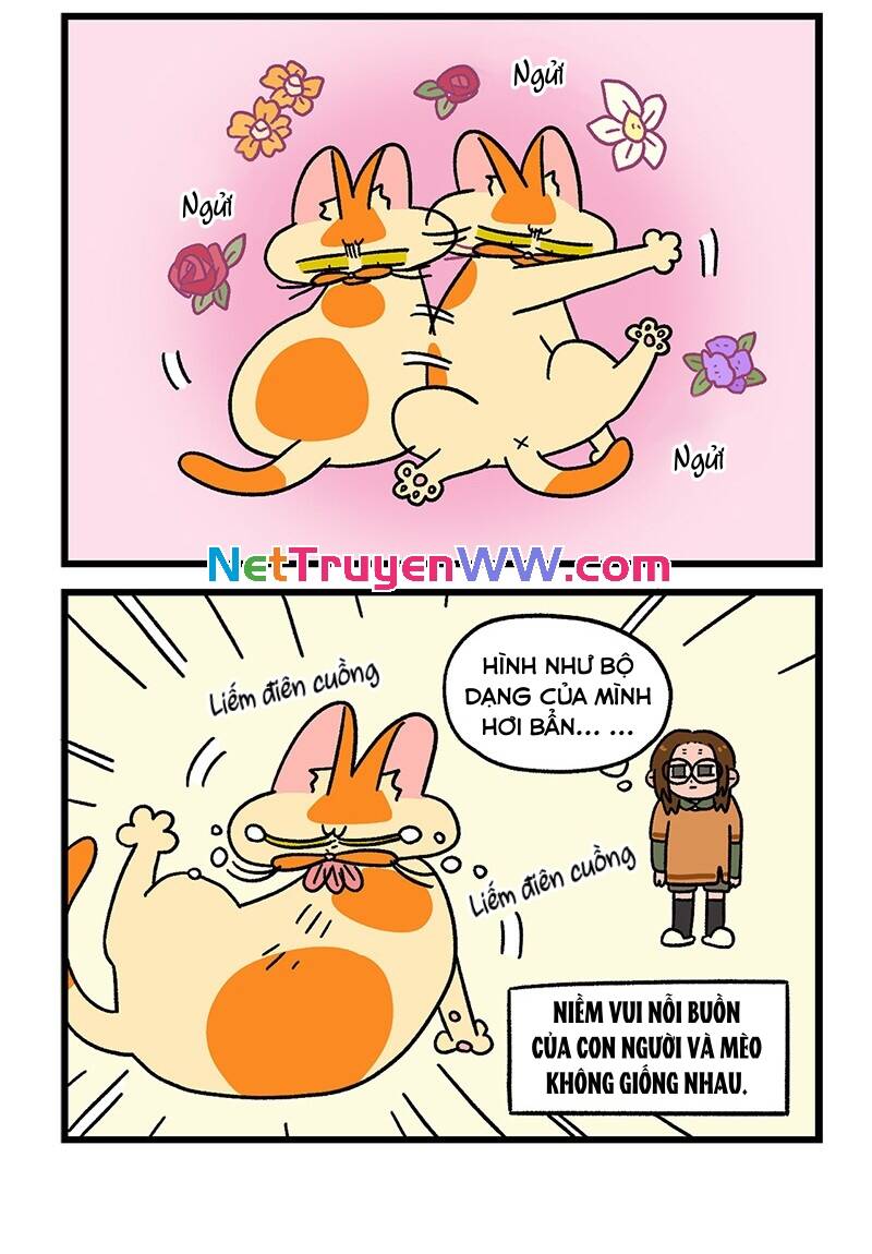 A Mãn Và Mạch Trà Chapter 56.1 - 6