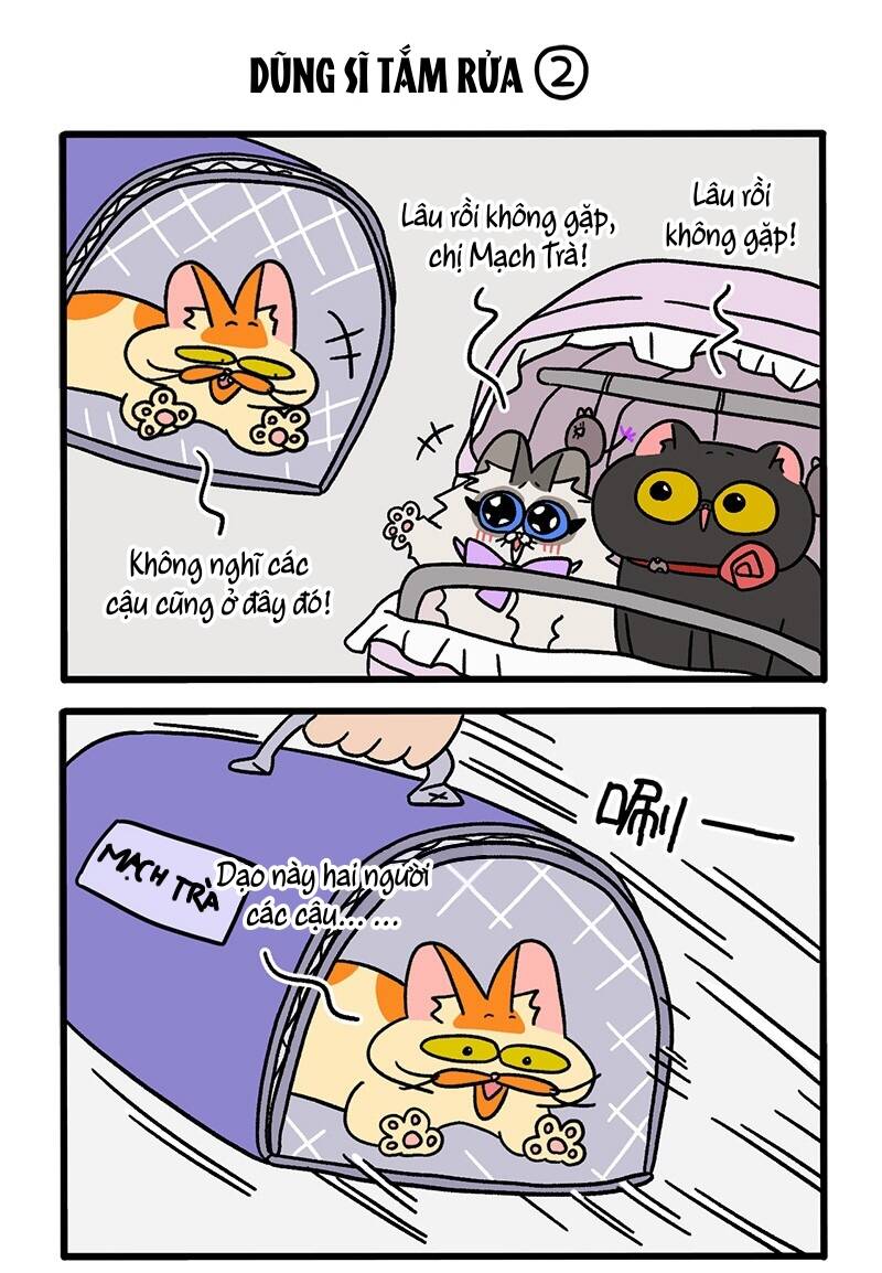 A Mãn Và Mạch Trà Chapter 56 - 3