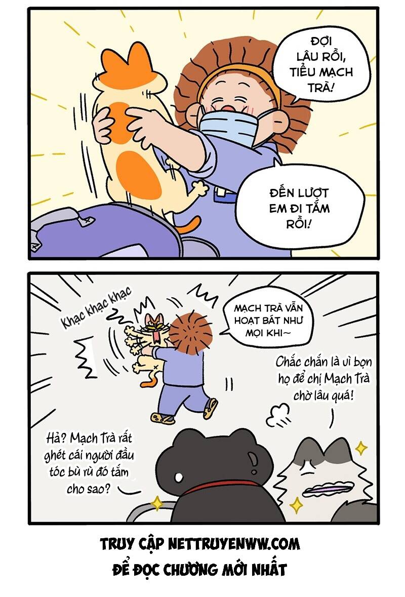 A Mãn Và Mạch Trà Chapter 56 - 4