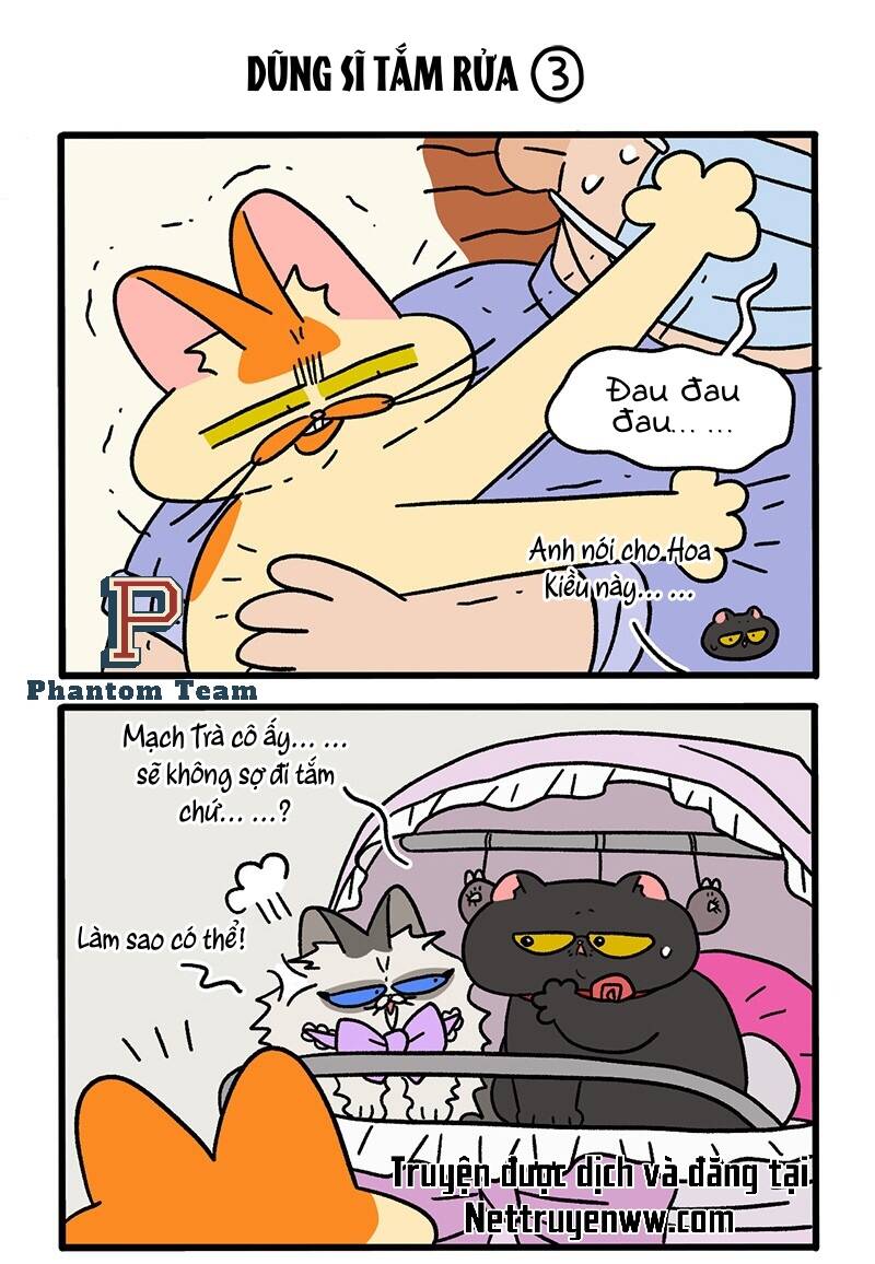 A Mãn Và Mạch Trà Chapter 56 - 5