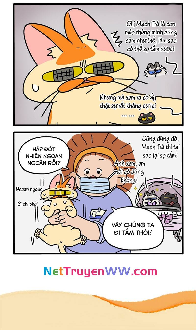 A Mãn Và Mạch Trà Chapter 56 - 6