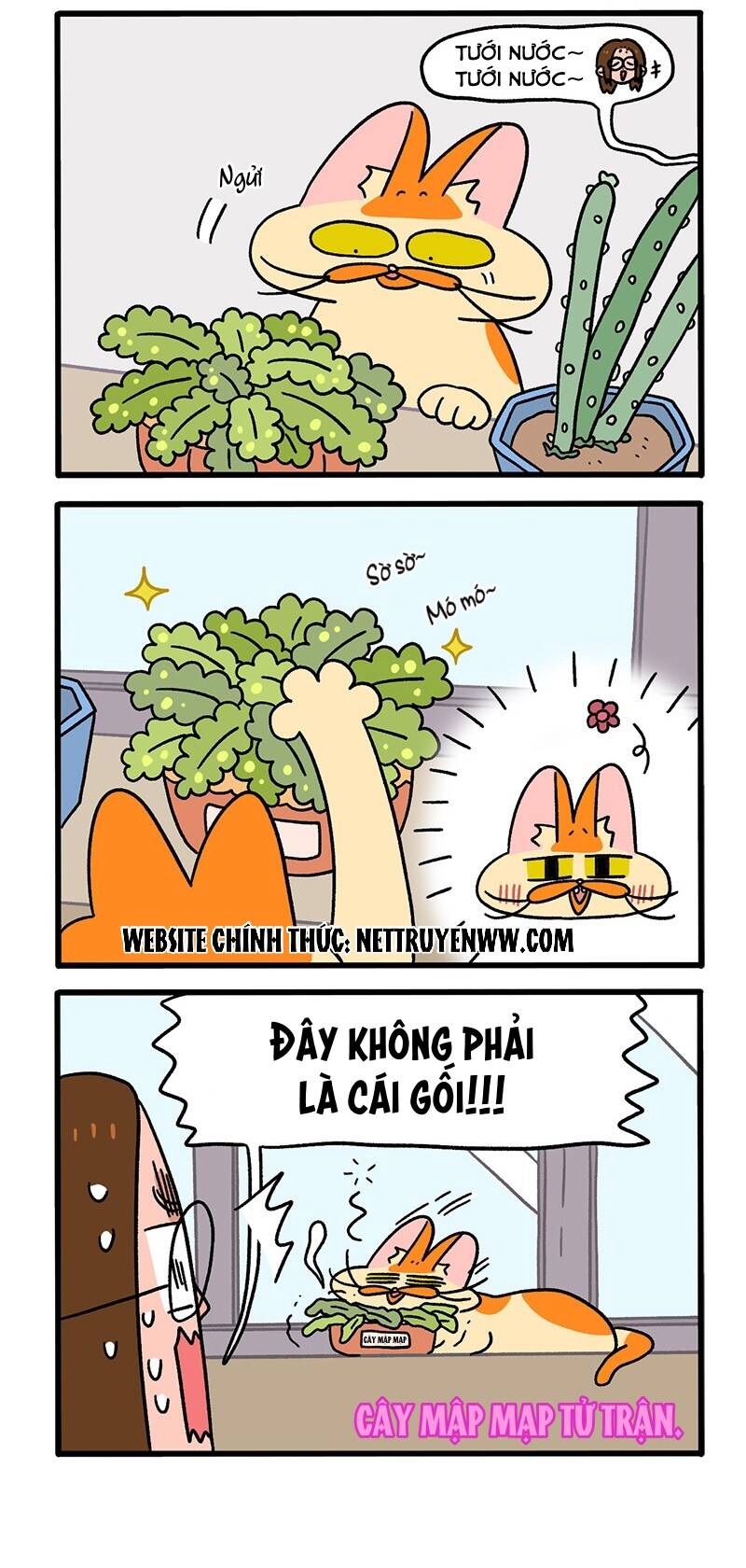 A Mãn Và Mạch Trà Chapter 57 - 2