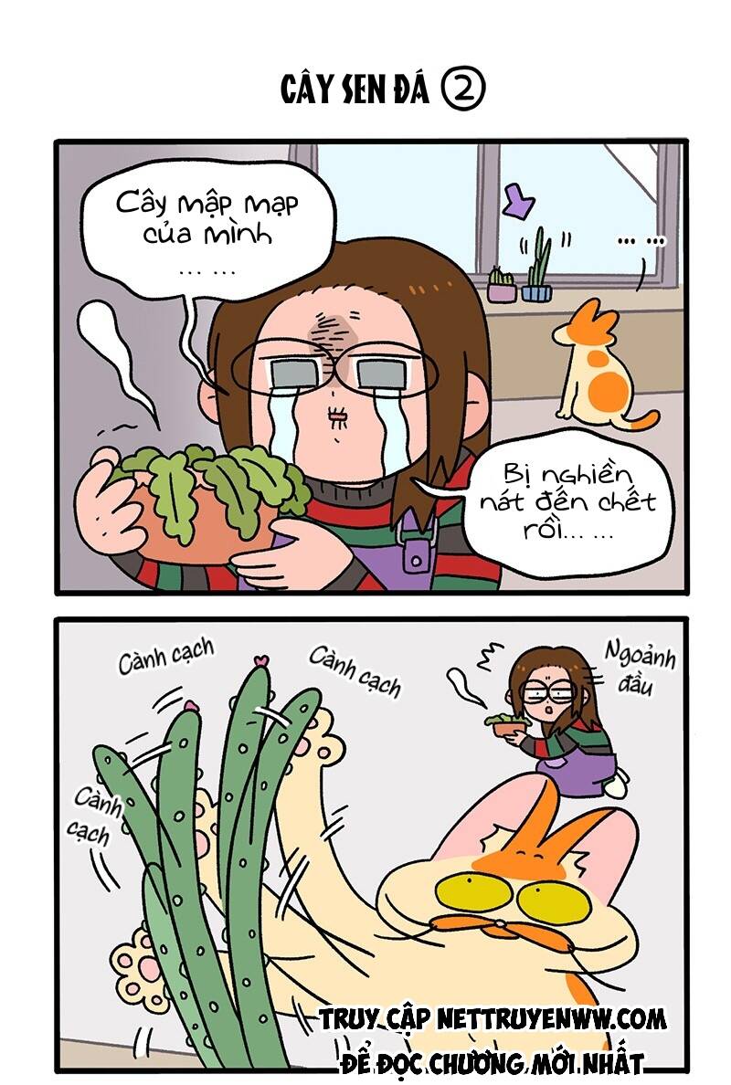 A Mãn Và Mạch Trà Chapter 57 - 3