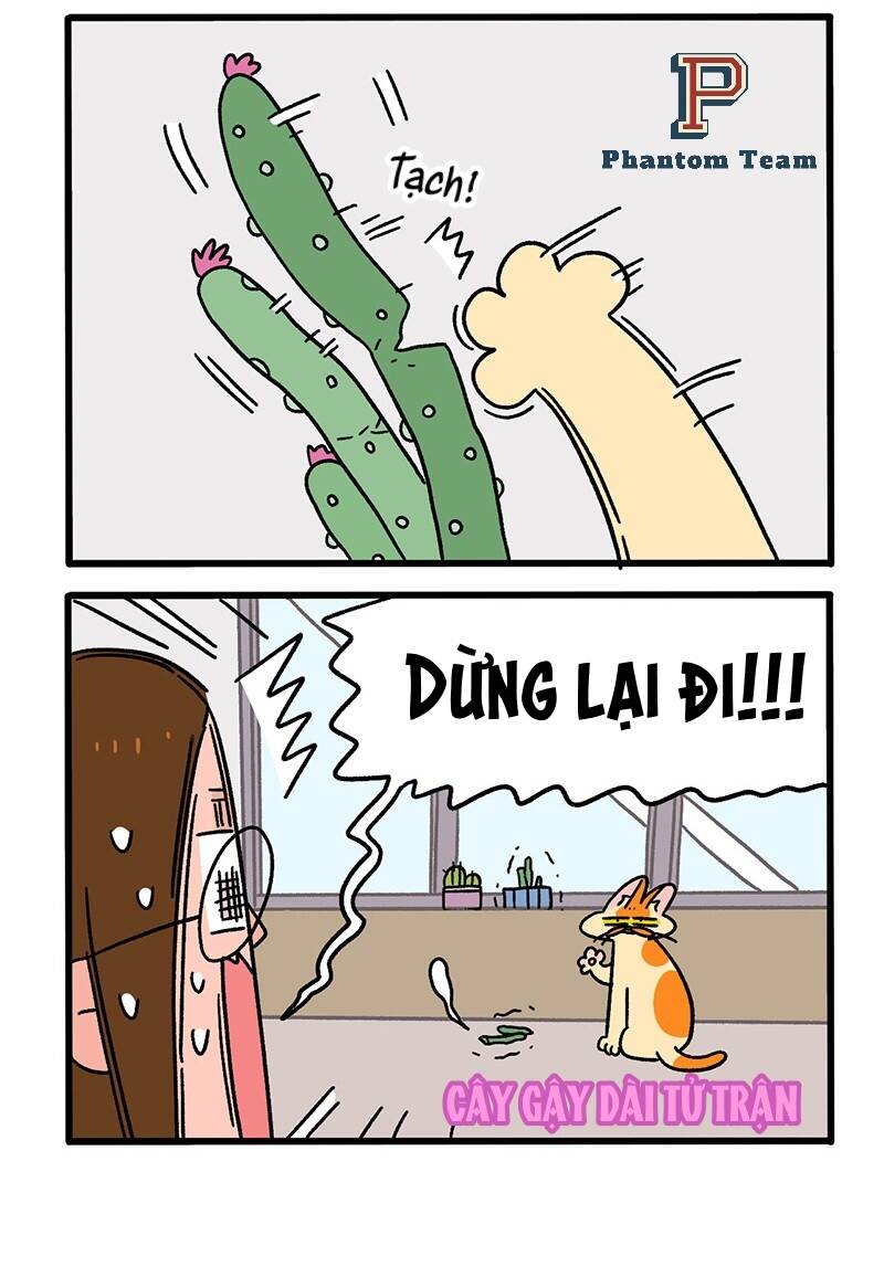 A Mãn Và Mạch Trà Chapter 57 - 4