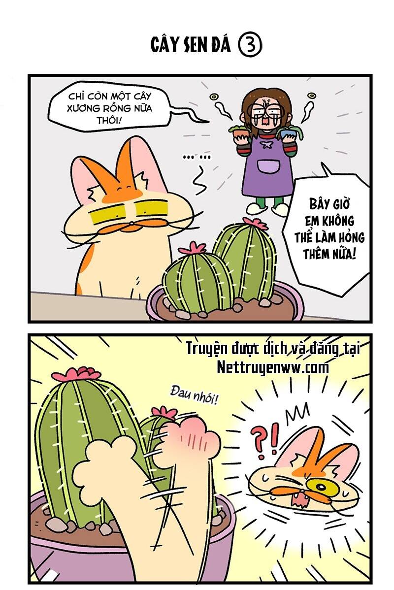 A Mãn Và Mạch Trà Chapter 57 - 5