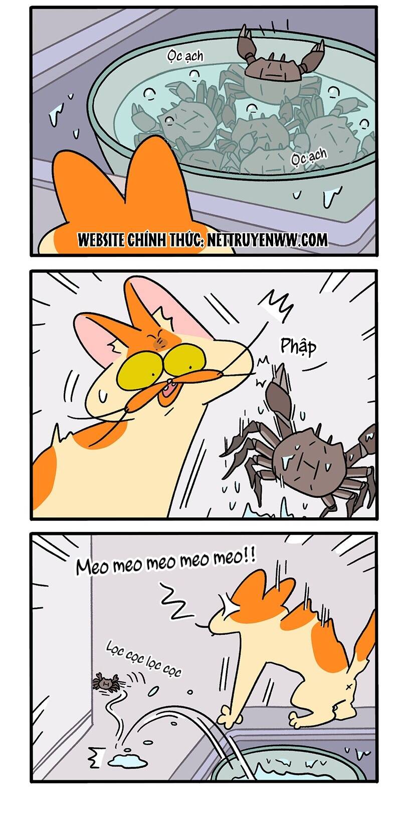 A Mãn Và Mạch Trà Chapter 58 - 2