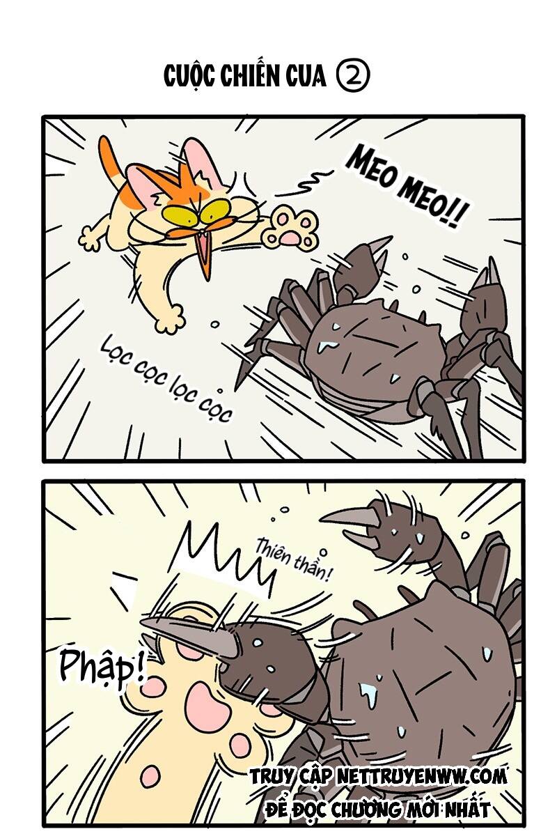 A Mãn Và Mạch Trà Chapter 58 - 3