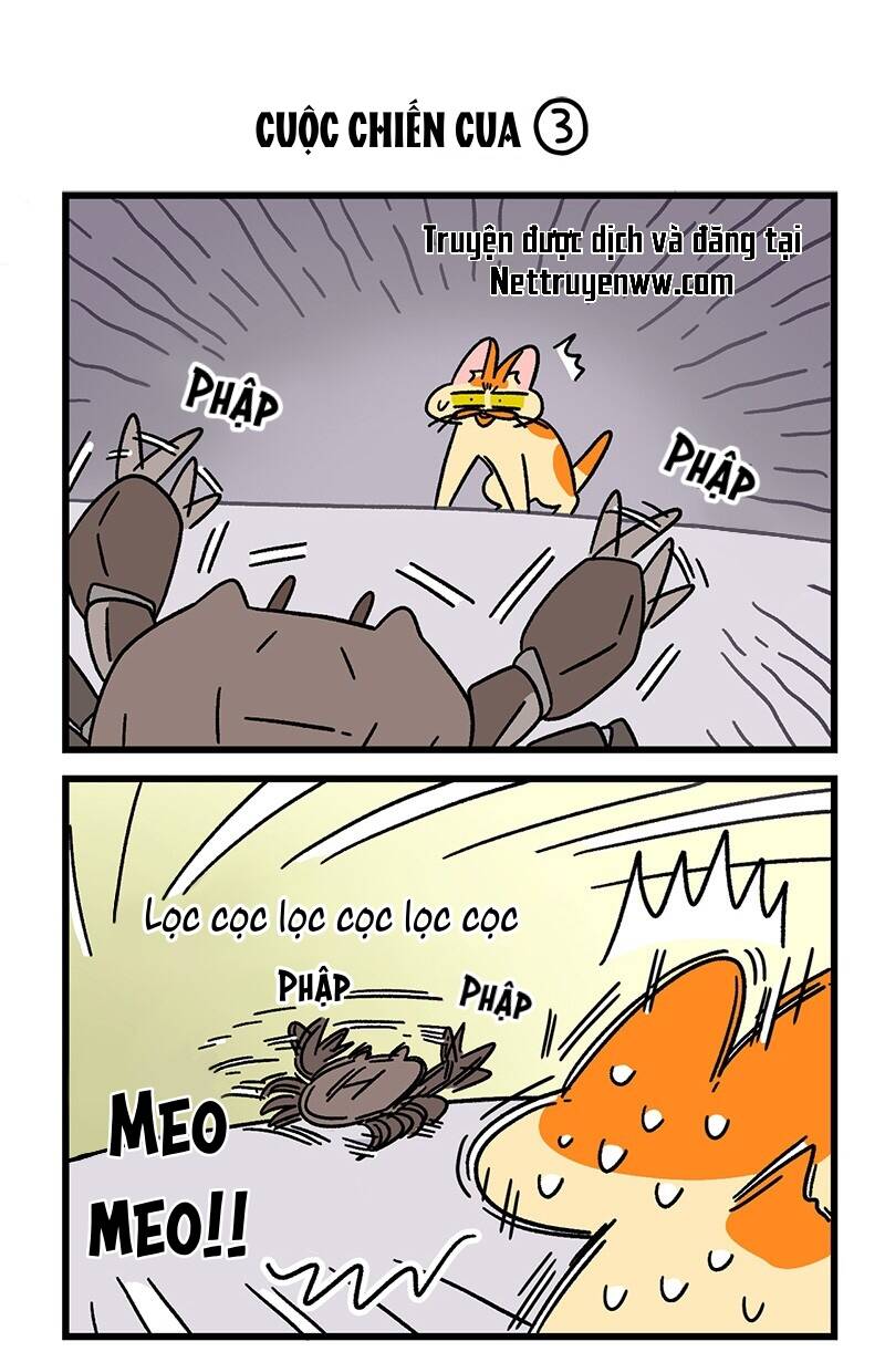 A Mãn Và Mạch Trà Chapter 58 - 5