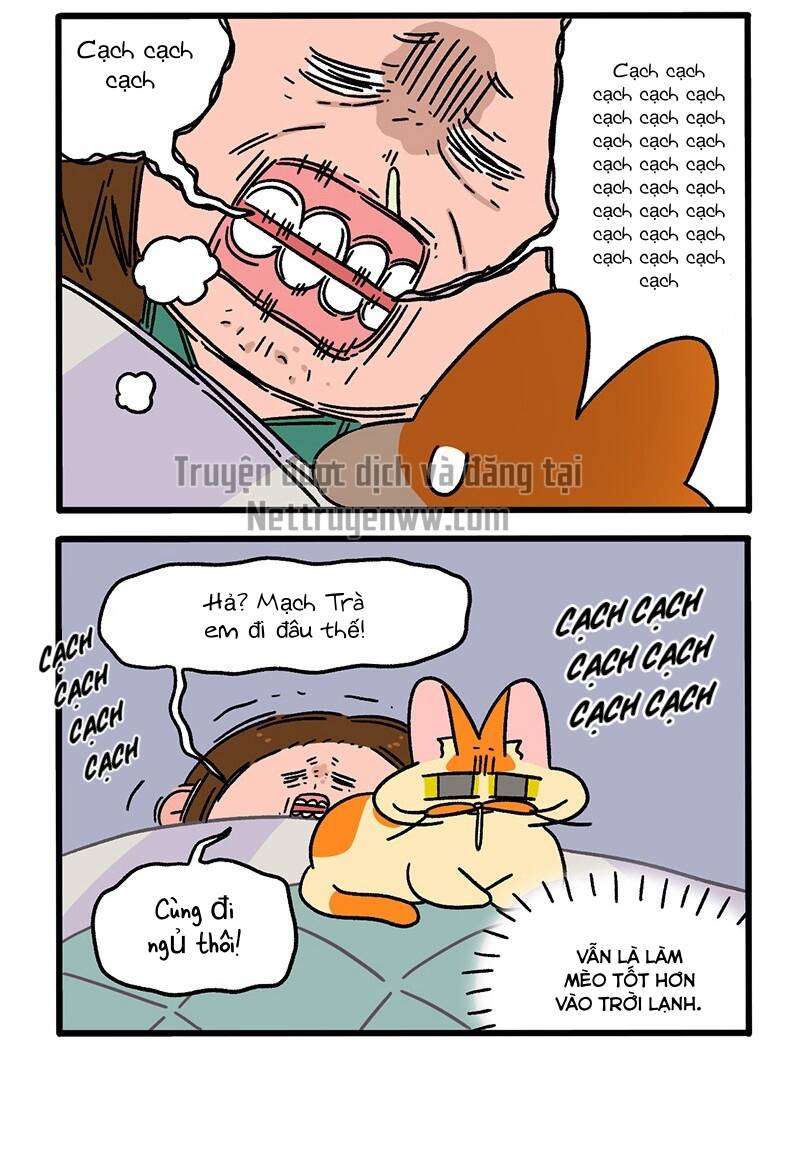 A Mãn Và Mạch Trà Chapter 59.1 - 4