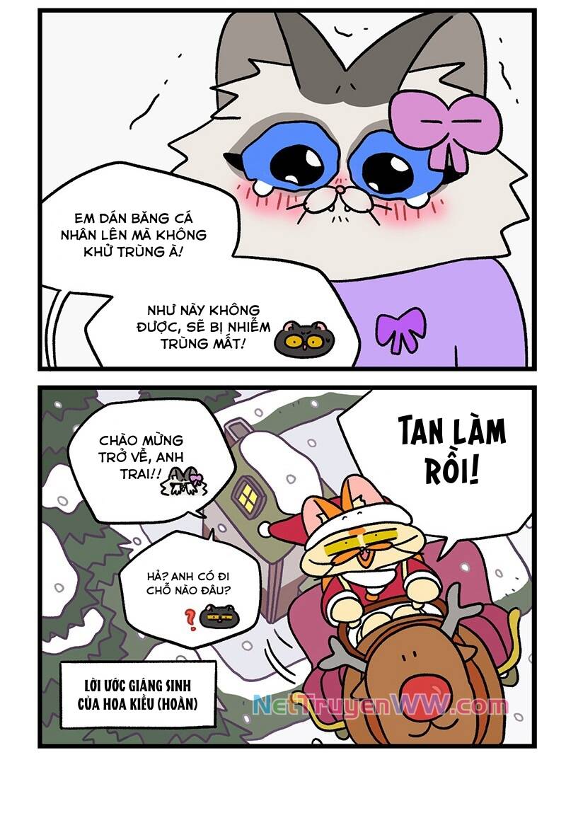 A Mãn Và Mạch Trà Chapter 59.5 - 6