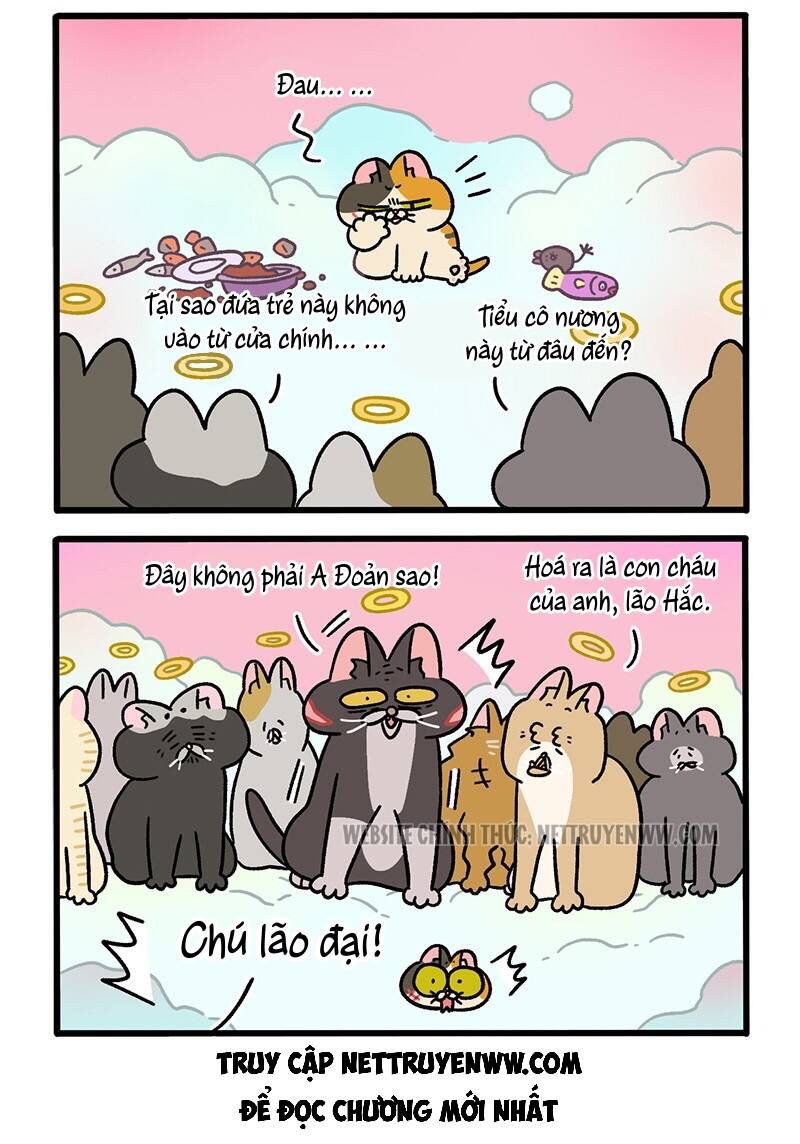 A Mãn Và Mạch Trà Chapter 59.6 - 4