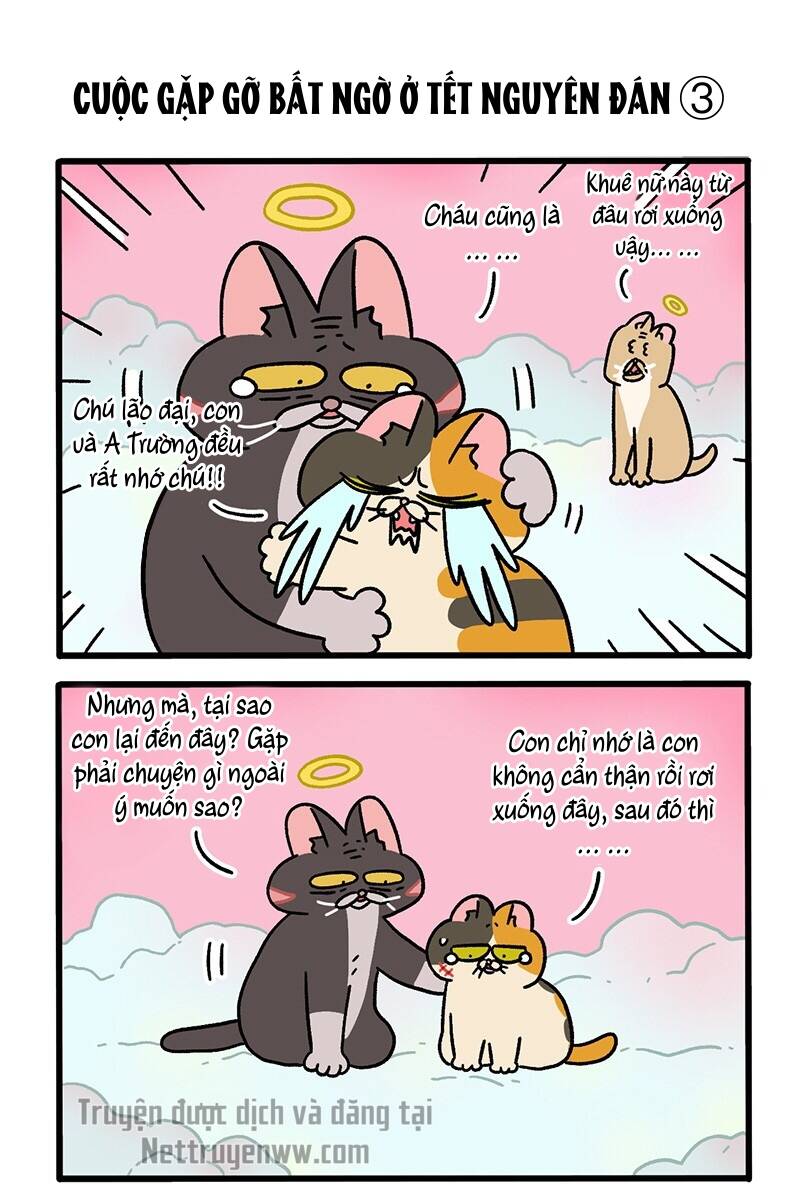 A Mãn Và Mạch Trà Chapter 59.6 - 5