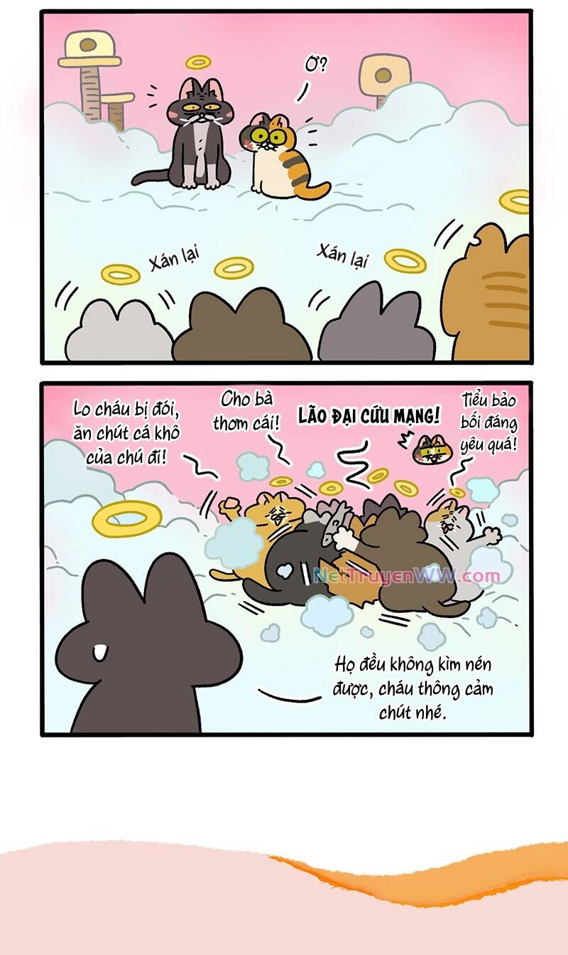 A Mãn Và Mạch Trà Chapter 59.6 - 6