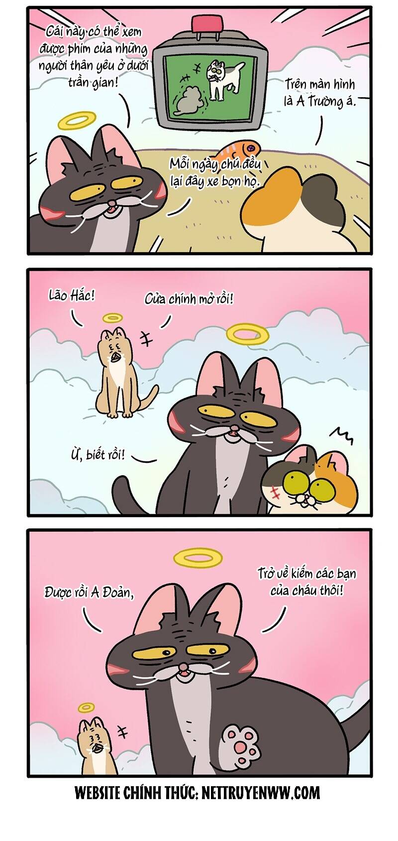 A Mãn Và Mạch Trà Chapter 59.7 - 2