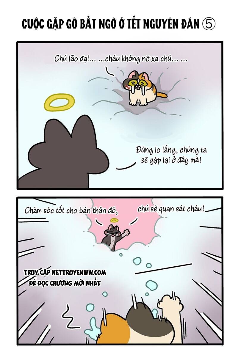 A Mãn Và Mạch Trà Chapter 59.7 - 3