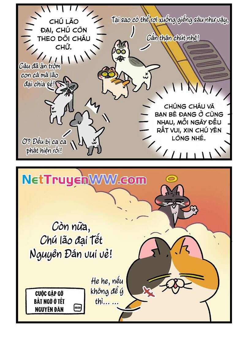 A Mãn Và Mạch Trà Chapter 59.7 - 6