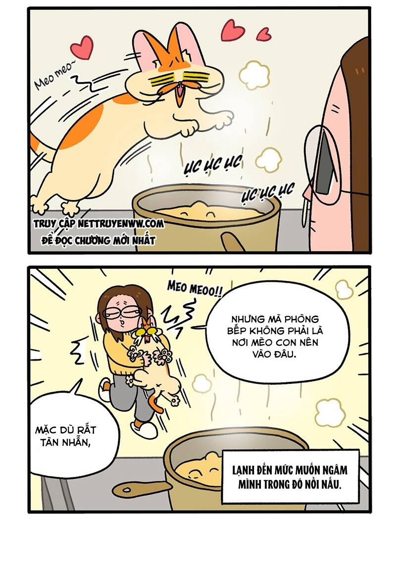 A Mãn Và Mạch Trà Chapter 59 - 4