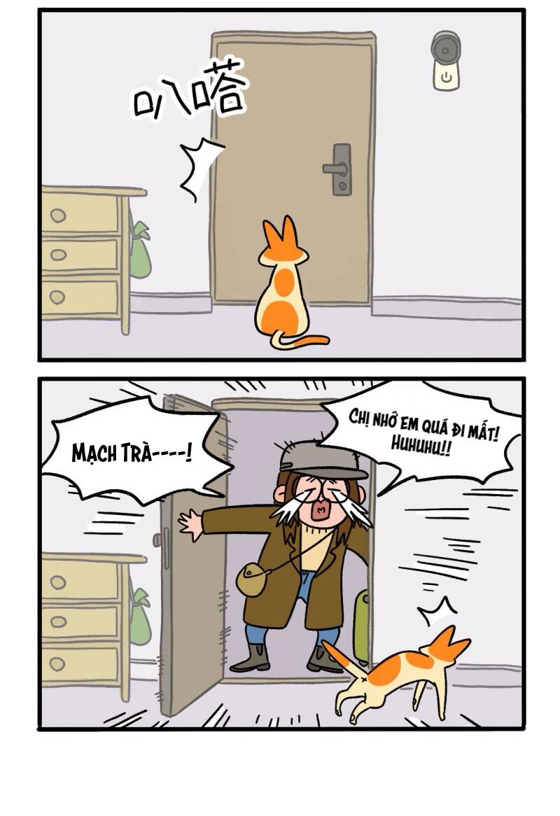 A Mãn Và Mạch Trà Chapter 6 - 4