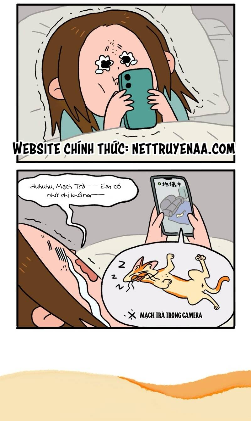 A Mãn Và Mạch Trà Chapter 6 - 6