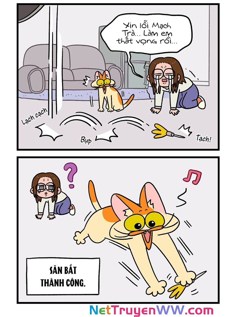 A Mãn Và Mạch Trà Chapter 60 - 6