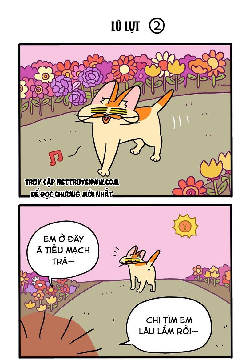 A Mãn Và Mạch Trà Chapter 61 - 3