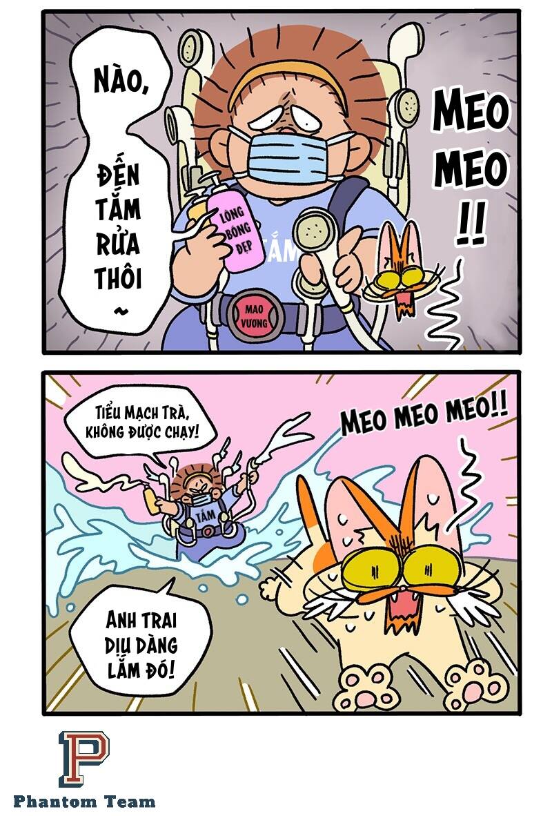 A Mãn Và Mạch Trà Chapter 61 - 4