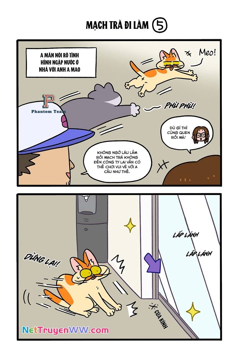 A Mãn Và Mạch Trà Chapter 63.1 - 3