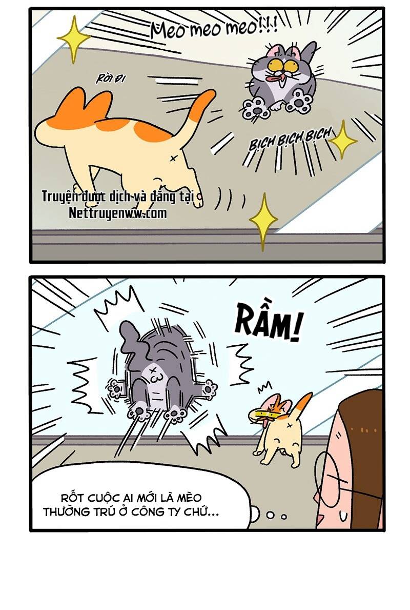 A Mãn Và Mạch Trà Chapter 63.1 - 4