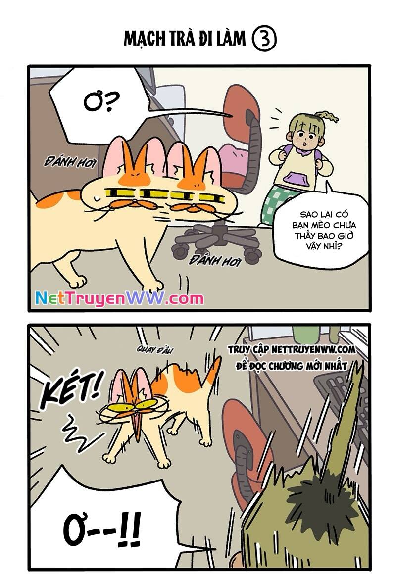 A Mãn Và Mạch Trà Chapter 63 - 5