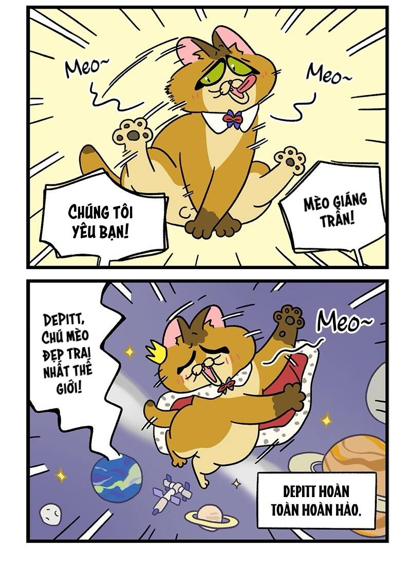 A Mãn Và Mạch Trà Chapter 64.1 - 6