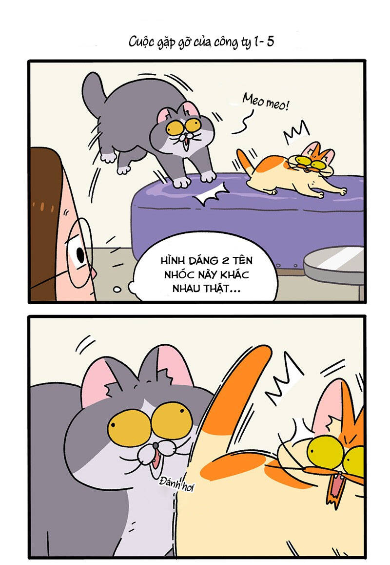 A Mãn Và Mạch Trà Chapter 65.1 - 3