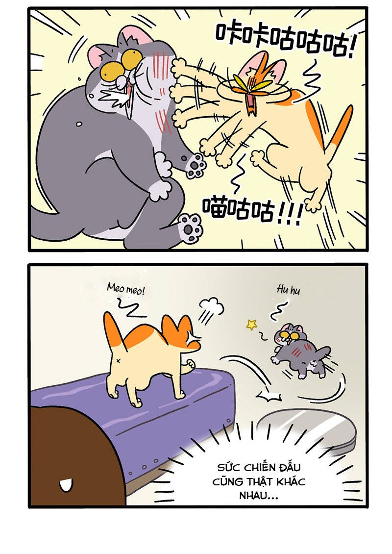 A Mãn Và Mạch Trà Chapter 65.1 - 4