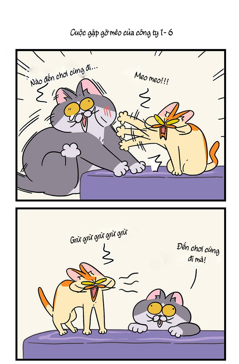 A Mãn Và Mạch Trà Chapter 65.1 - 5