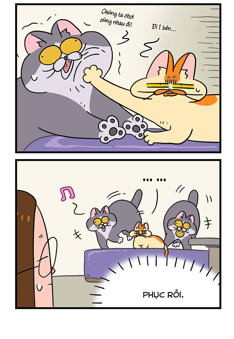 A Mãn Và Mạch Trà Chapter 65.1 - 6