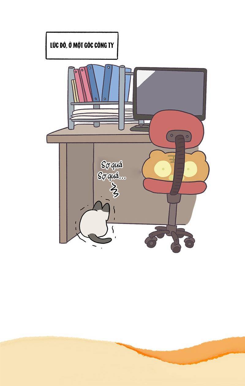 A Mãn Và Mạch Trà Chapter 65.1 - 7