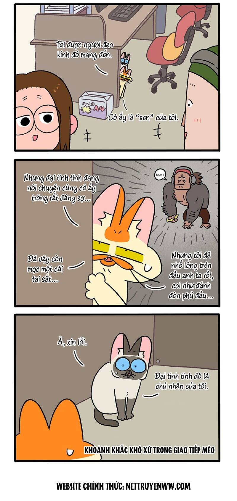 A Mãn Và Mạch Trà Chapter 66.1 - 2