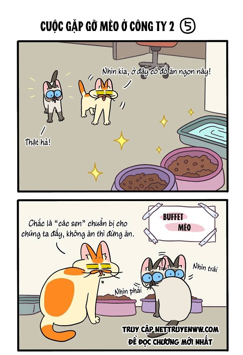 A Mãn Và Mạch Trà Chapter 66.1 - 3